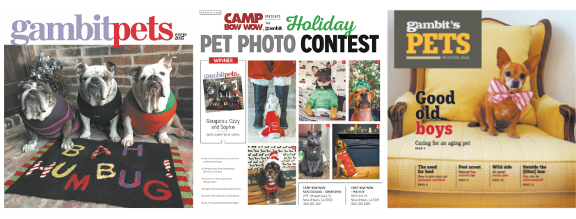 2018 holiday pet photo contest header